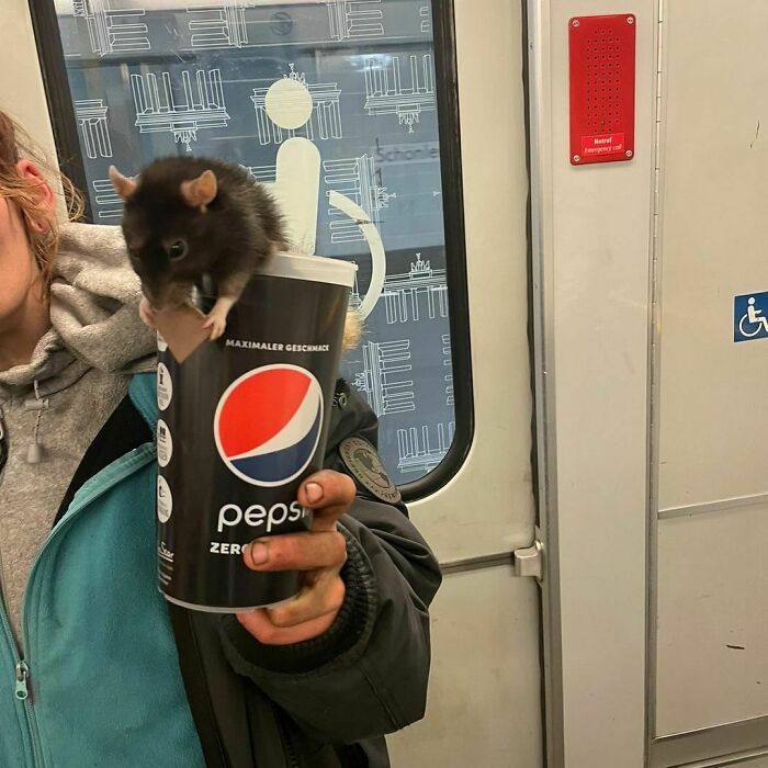 42 vezes que todo mundo precisou olhar duas vezes no metrô de Berlim 28