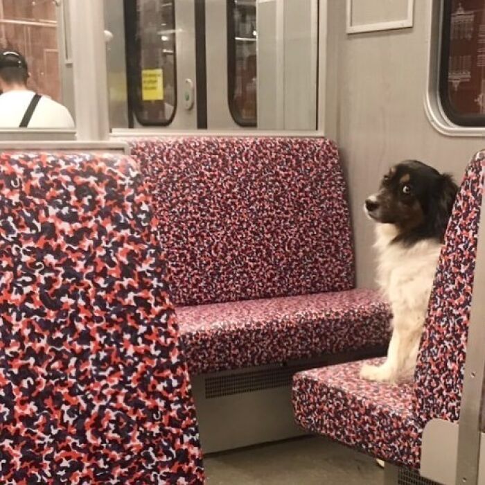 42 vezes que todo mundo precisou olhar duas vezes no metrô de Berlim 30