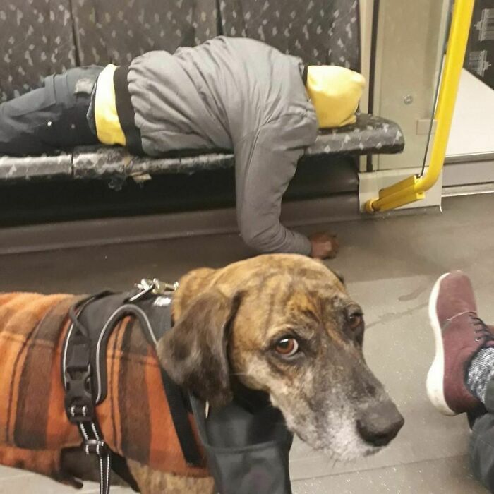 42 vezes que todo mundo precisou olhar duas vezes no metrô de Berlim 35