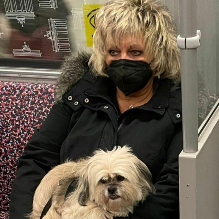 42 vezes que todo mundo precisou olhar duas vezes no metrô de Berlim 42