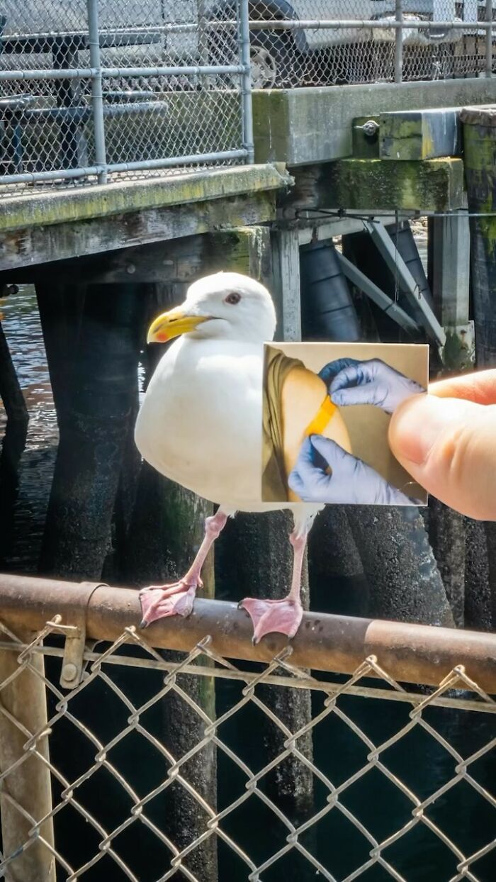 Artista de rua cria magia com papel: 26 cenas divertidas! 3