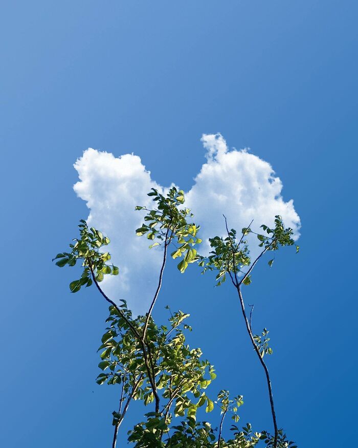 Artista francês transforma sonhos em surrealismo com 42 imagens de pura paz 7