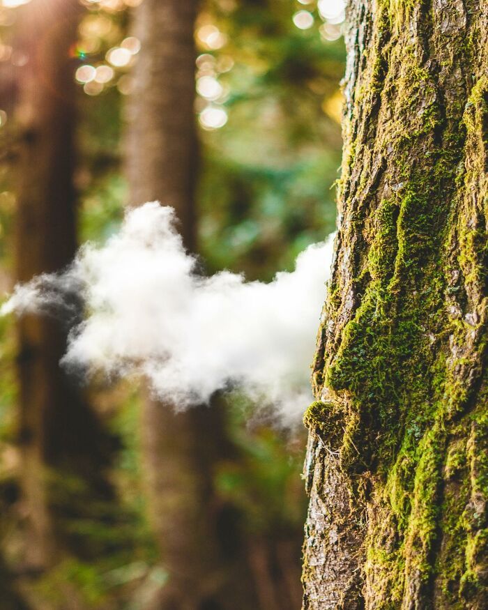 Artista francês transforma sonhos em surrealismo com 42 imagens de pura paz 10