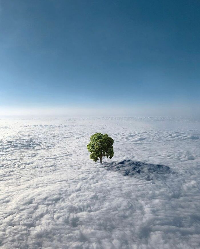 Artista francês transforma sonhos em surrealismo com 42 imagens de pura paz 19