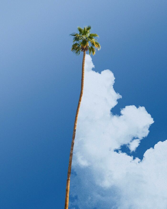 Artista francês transforma sonhos em surrealismo com 42 imagens de pura paz 25