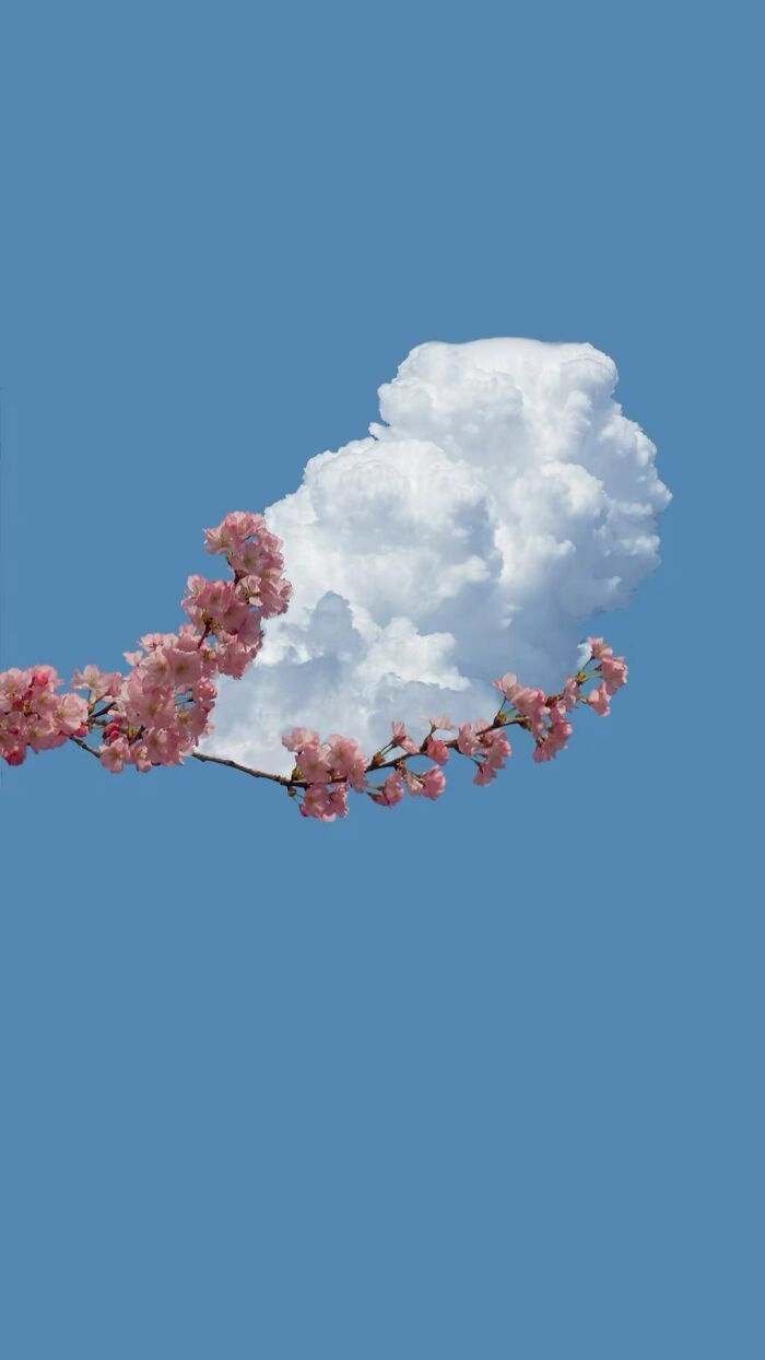 Artista francês transforma sonhos em surrealismo com 42 imagens de pura paz 37