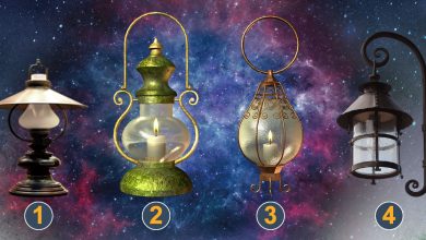 Descubra a mensagem do universo: Guia para ouvir sua voz interior 6