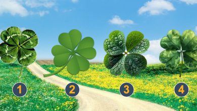 Descubra o que está predestinado para você em um futuro próximo 6