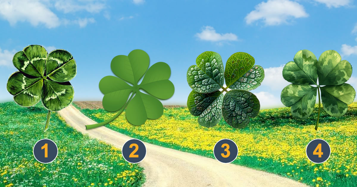 Descubra o que está predestinado para você em um futuro próximo 1