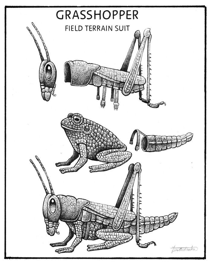 Ilustrações surreais de animais num estilo enciclopédico! (42 fotos) 4