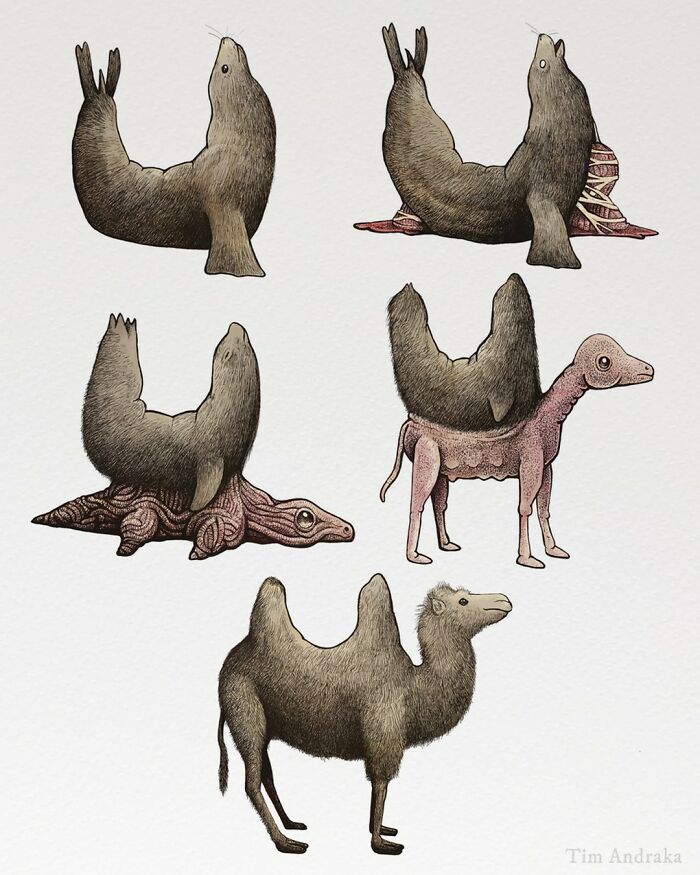 Ilustrações surreais de animais num estilo enciclopédico! (42 fotos) 7