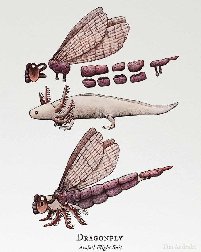 Ilustrações surreais de animais num estilo enciclopédico! (42 fotos) 8