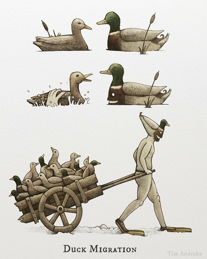 Ilustrações surreais de animais num estilo enciclopédico! (42 fotos) 9