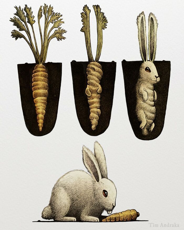 Ilustrações surreais de animais num estilo enciclopédico! (42 fotos) 10