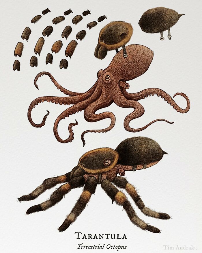 Ilustrações surreais de animais num estilo enciclopédico! (42 fotos) 12