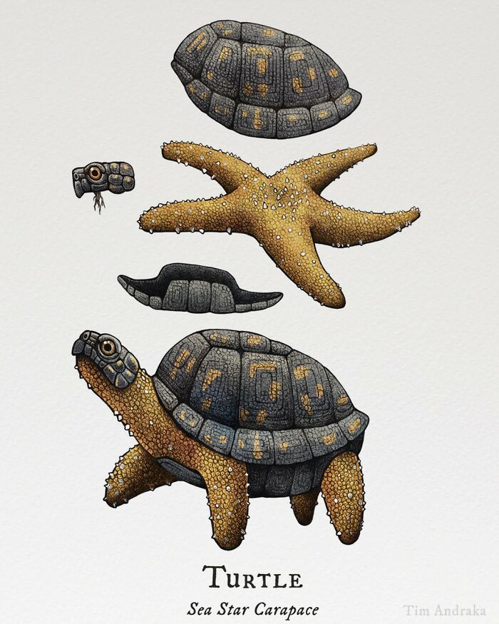 Ilustrações surreais de animais num estilo enciclopédico! (42 fotos) 14