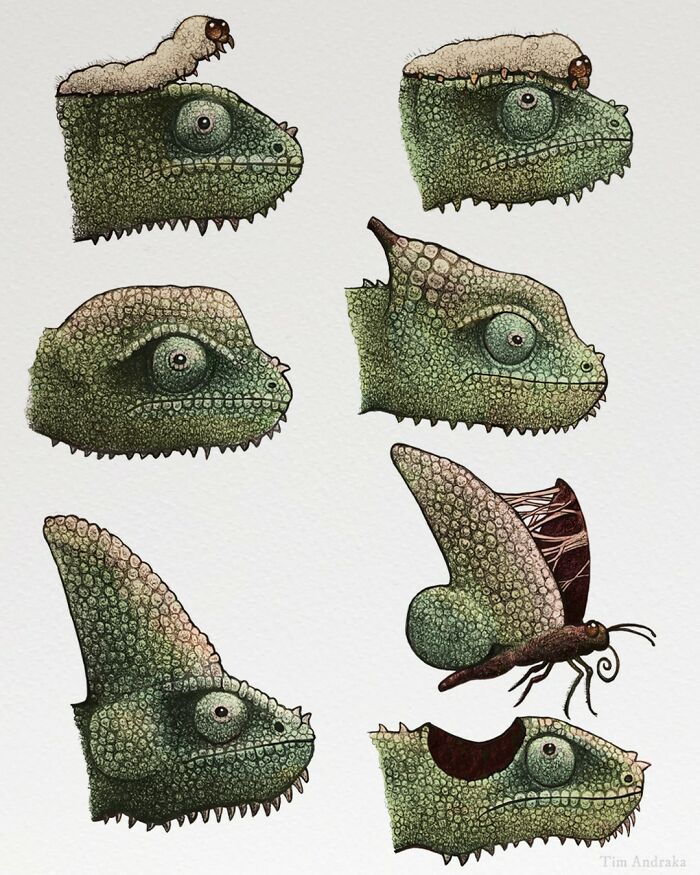 Ilustrações surreais de animais num estilo enciclopédico! (42 fotos) 15