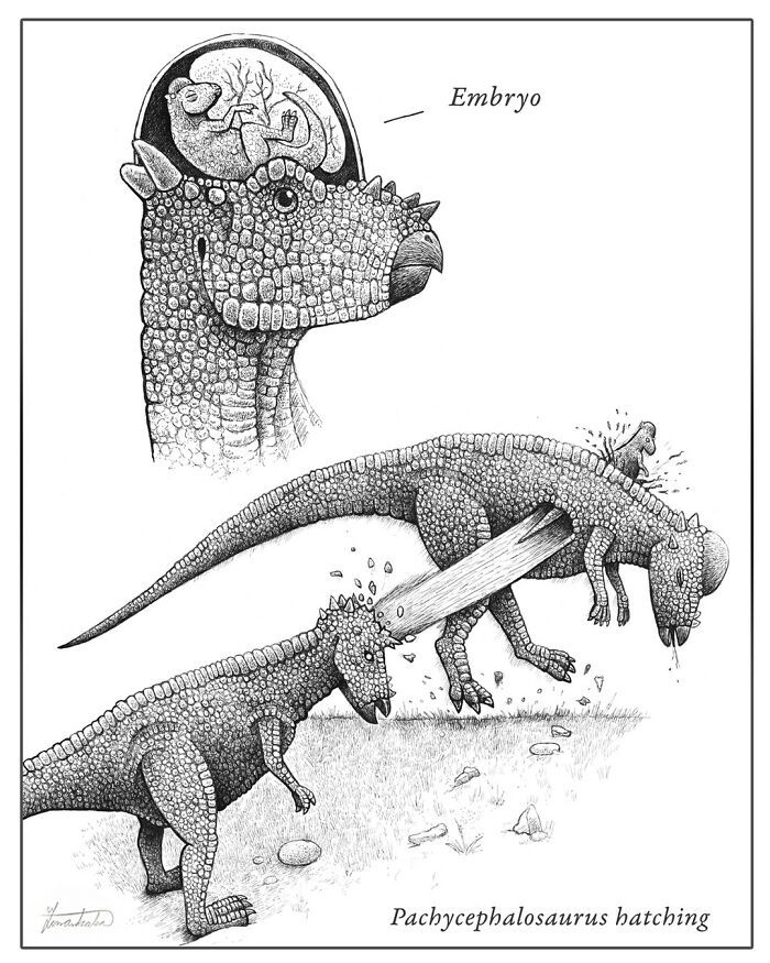 Ilustrações surreais de animais num estilo enciclopédico! (42 fotos) 17