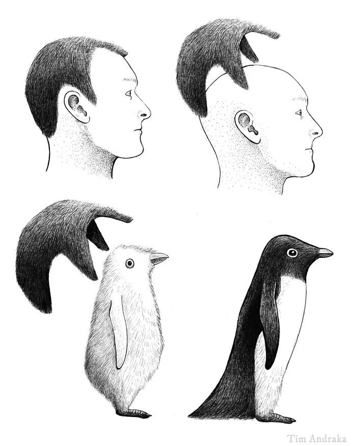 Ilustrações surreais de animais num estilo enciclopédico! (42 fotos) 18