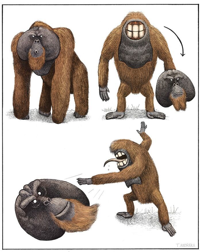 Ilustrações surreais de animais num estilo enciclopédico! (42 fotos) 23