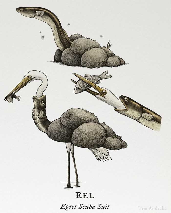 Ilustrações surreais de animais num estilo enciclopédico! (42 fotos) 25