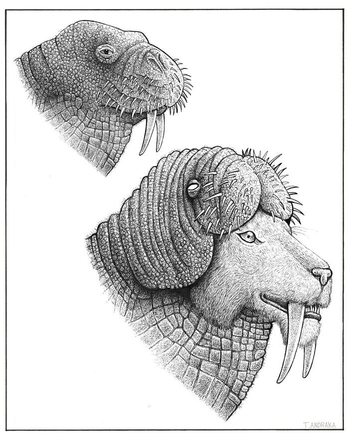 Ilustrações surreais de animais num estilo enciclopédico! (42 fotos) 26