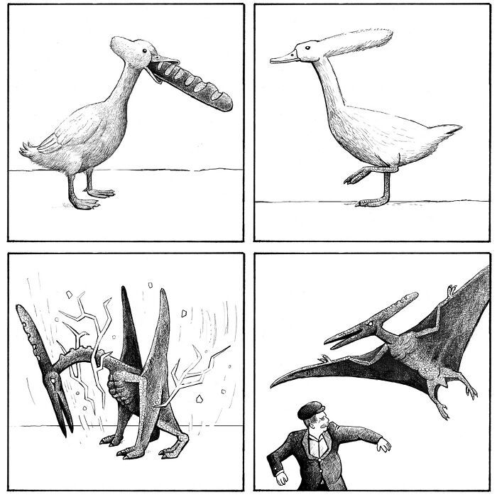 Ilustrações surreais de animais num estilo enciclopédico! (42 fotos) 31