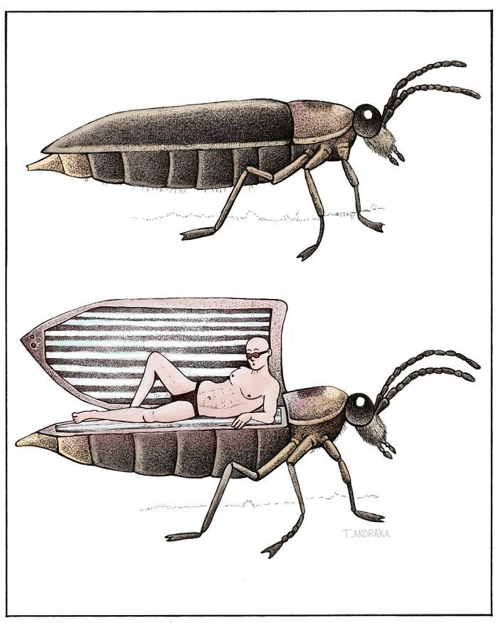 Ilustrações surreais de animais num estilo enciclopédico! (42 fotos) 32