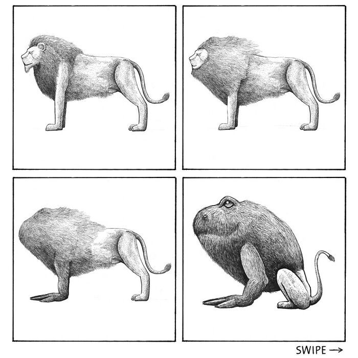 Ilustrações surreais de animais num estilo enciclopédico! (42 fotos) 37