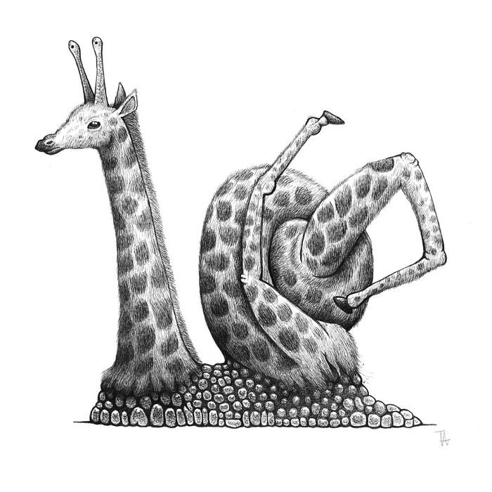 Ilustrações surreais de animais num estilo enciclopédico! (42 fotos) 38