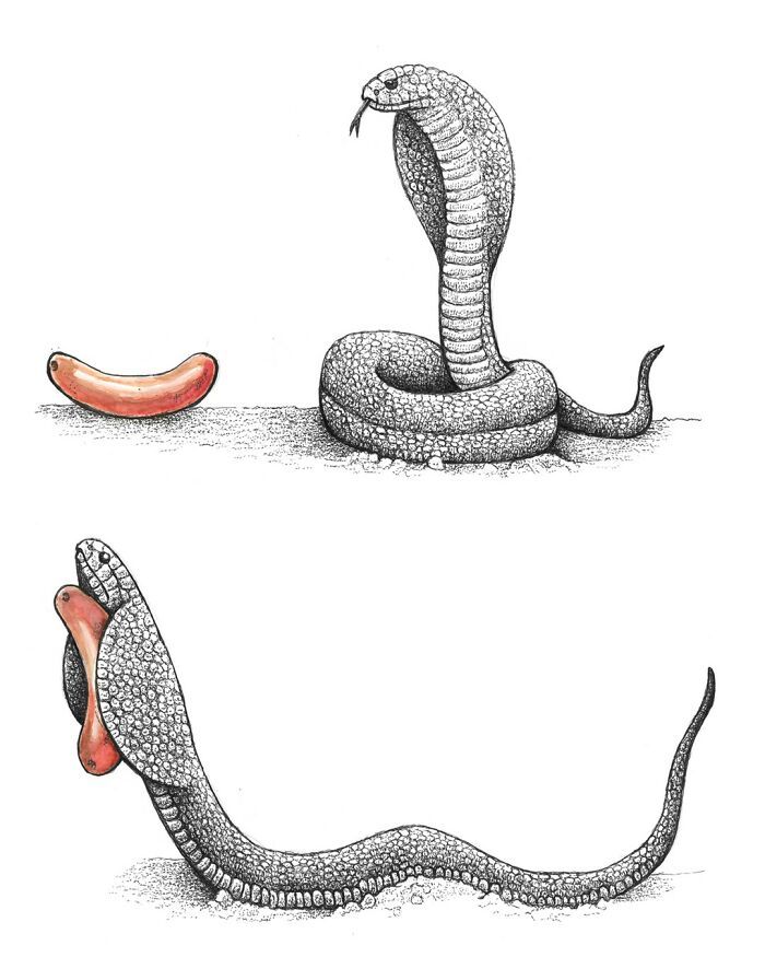 Ilustrações surreais de animais num estilo enciclopédico! (42 fotos) 39