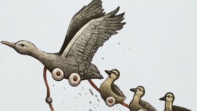 Ilustrações surreais de animais num estilo enciclopédico! (42 fotos) 9