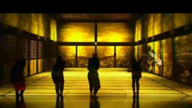 Show de dança multimídia 10