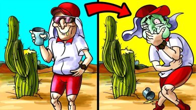 Mitos de sobrevivência que podem te matar 7