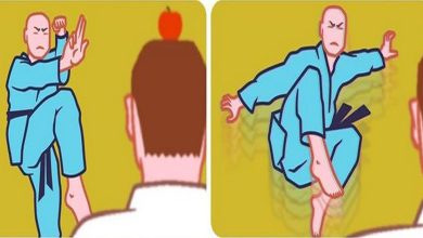 22 tirinhas vão te fazer rir muito! Prepare-se para surpresas e muito humor negro! 76