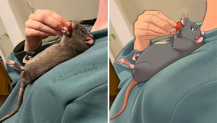 Transformação Disney: Fotos incríveis de animais de estimação! (22 fotos) 4