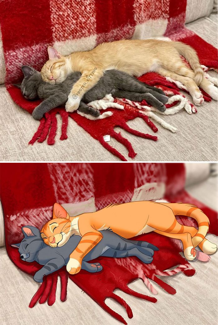 Transformação Disney: Fotos incríveis de animais de estimação! (22 fotos) 12