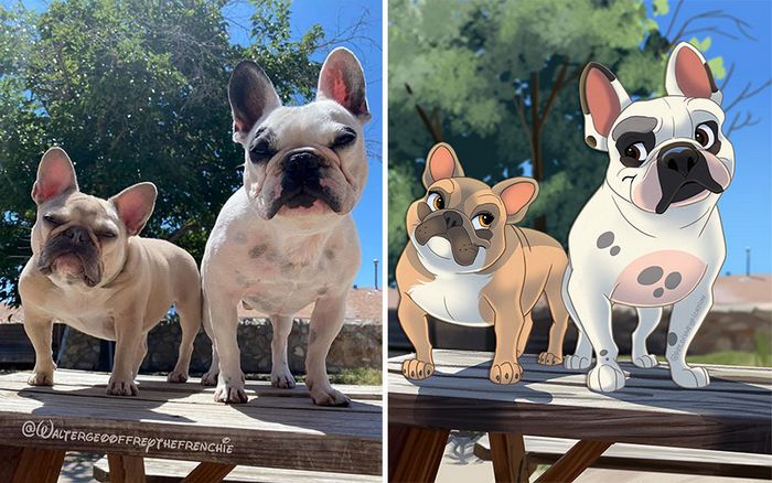 Transformação Disney: Fotos incríveis de animais de estimação! (22 fotos) 14