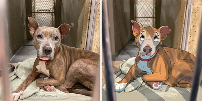 Transformação Disney: Fotos incríveis de animais de estimação! (22 fotos) 20