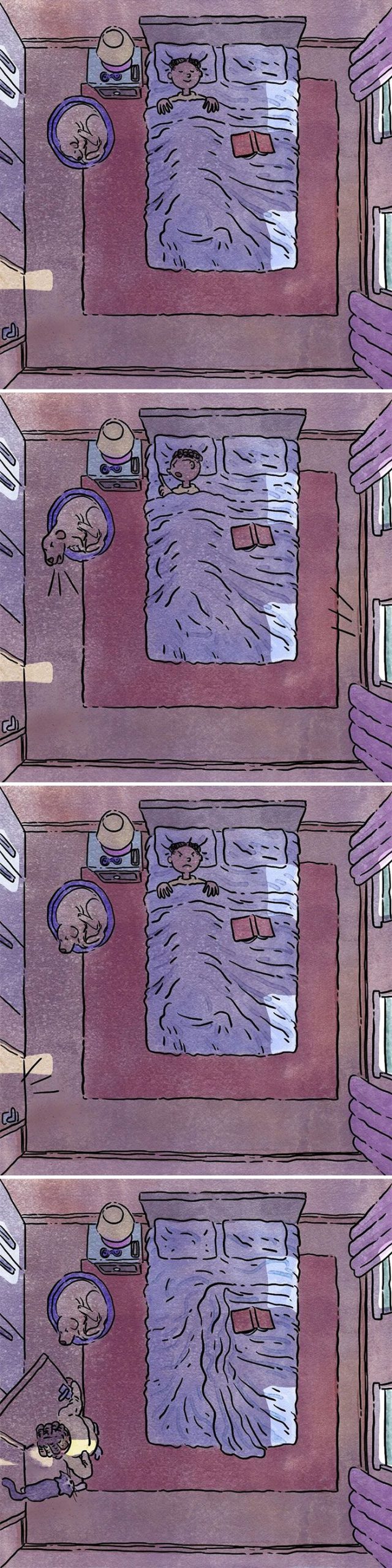 6 histórias emocionantes: A vida com cachorro e gato 4