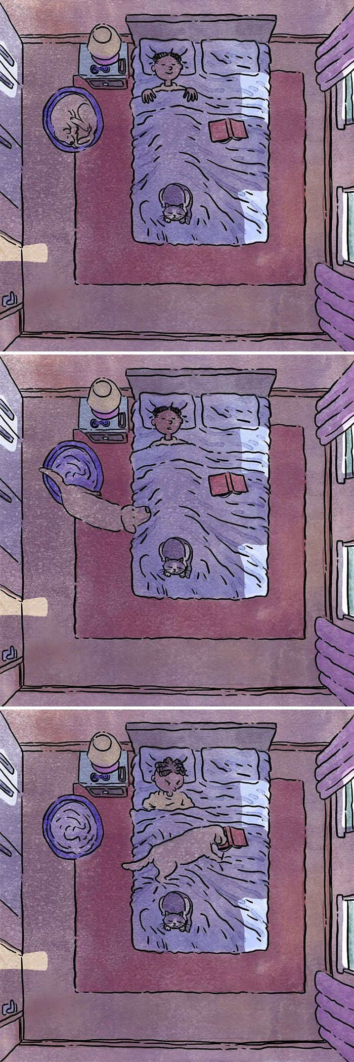 6 histórias emocionantes: A vida com cachorro e gato 5