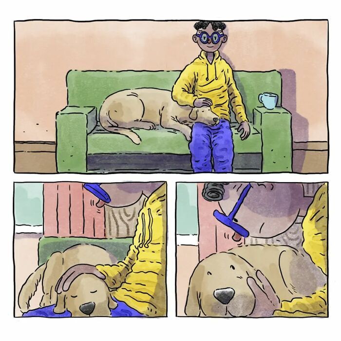 6 histórias emocionantes: A vida com cachorro e gato 13