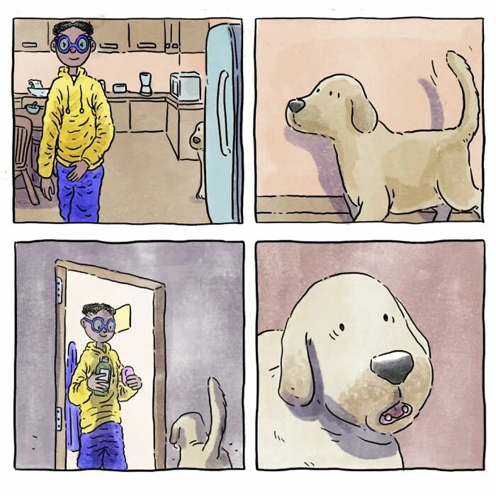 6 histórias emocionantes: A vida com cachorro e gato 14