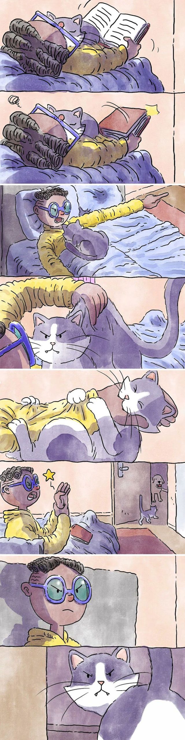 6 histórias emocionantes: A vida com cachorro e gato 20