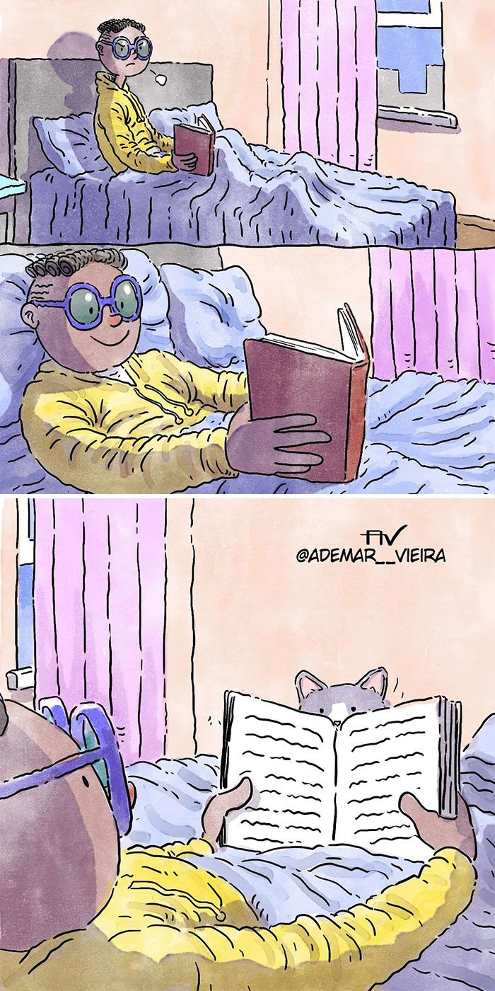 6 histórias emocionantes: A vida com cachorro e gato 21