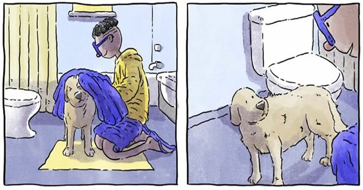 6 histórias emocionantes: A vida com cachorro e gato