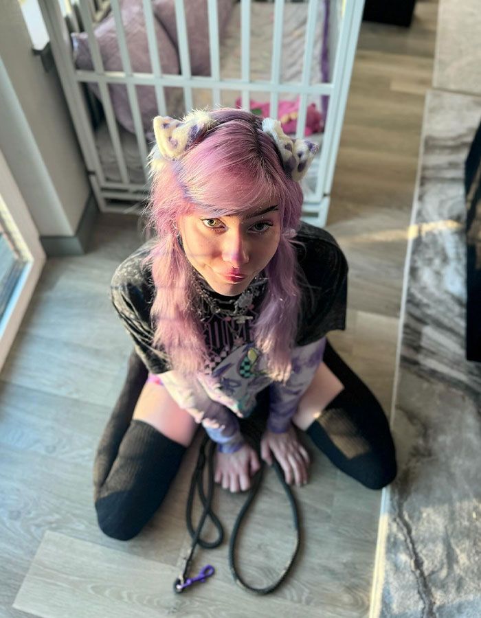 Viver como um cachorro: A fascinante história de Meow e seus comportamentos caninos 1