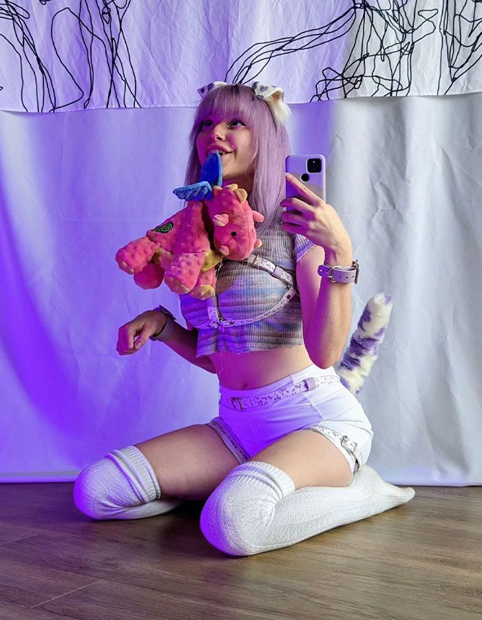 Viver como um cachorro: A fascinante história de Meow e seus comportamentos caninos 3