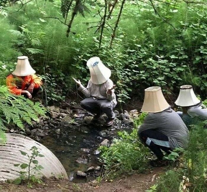 35 fotos aleatórias para alimentar seu sentido de satisfação 4