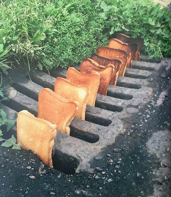 35 fotos aleatórias para alimentar seu sentido de satisfação 6